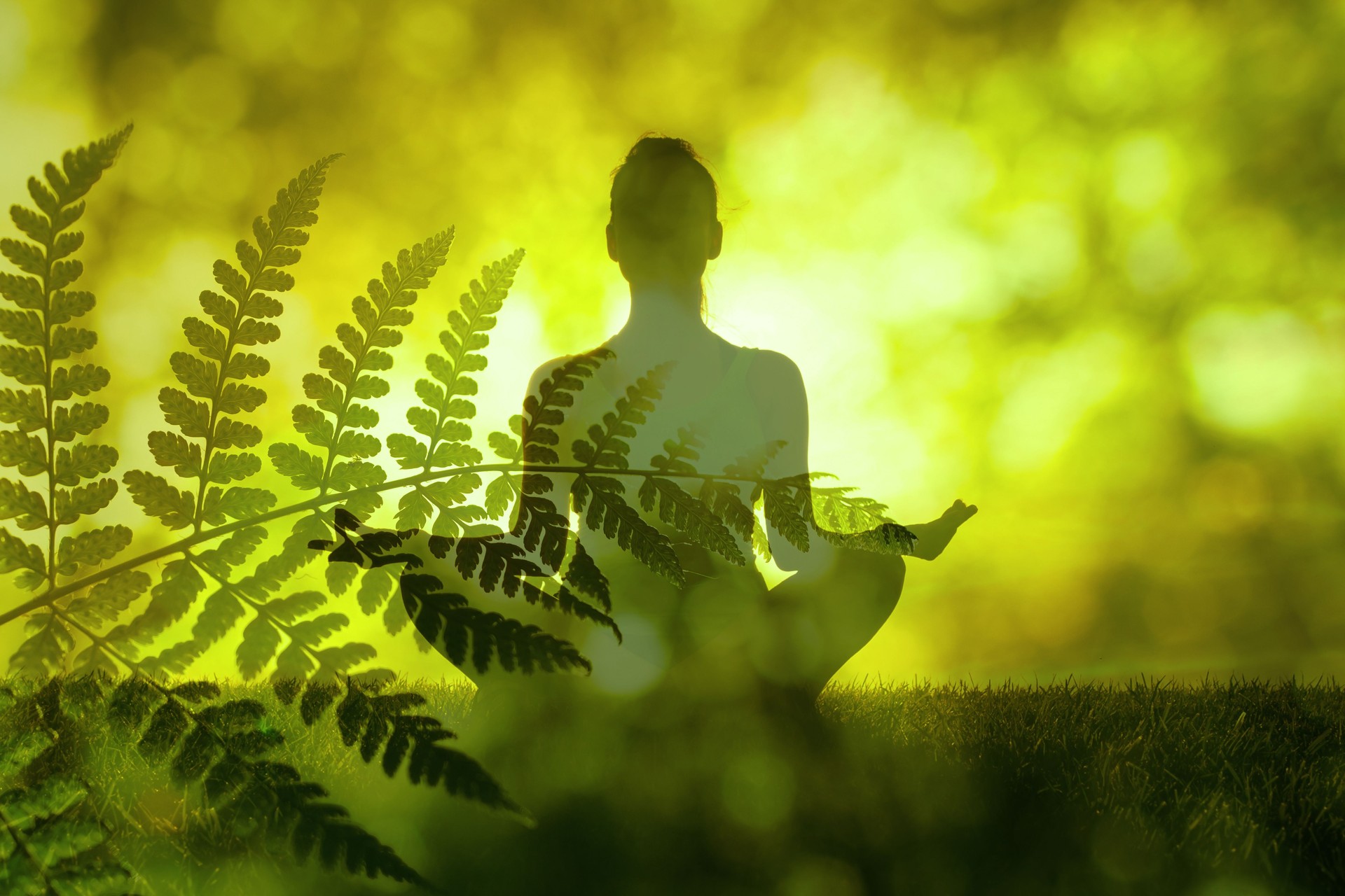 Woman practices yoga and meditates in the lotus position in green nature setting.